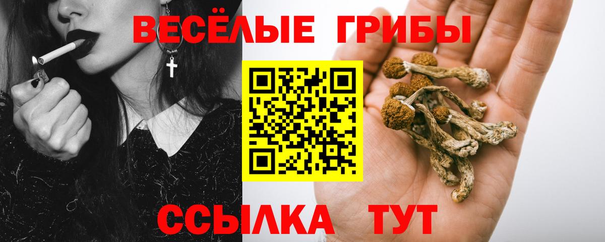 Галлюциногенные грибы GOLDEN TEACHER  Вход с VPN  Борисоглебск 